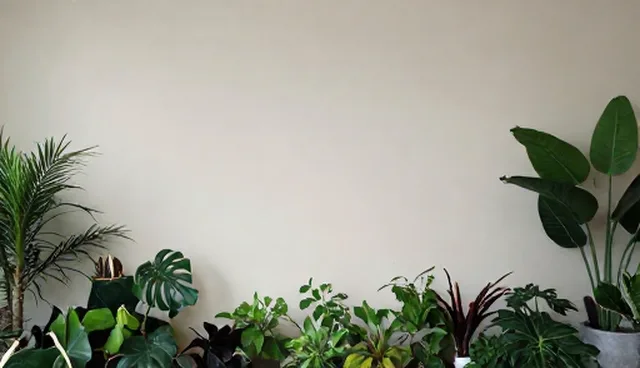 预算分配不均如何影响宣传片制作效果